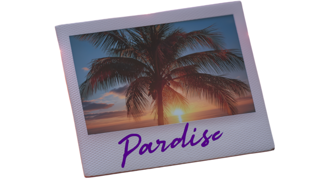 Polaroid photo of palm tree with handwritten caption "Paradise", taped with neon tape