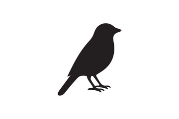 Fototapeta premium canary silhouettes.