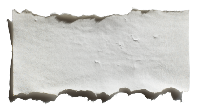 Torn paper note with visible perforation, isolated, minimal design, PNG