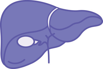 Colored Liver Icon. Vector Illustration. The Largest Internal Human Organ. Concept Anatomy