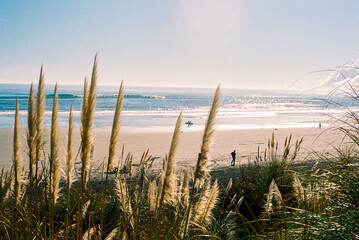 Raglan Surfers