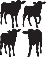 Calf standing pose silhouette vector illustration