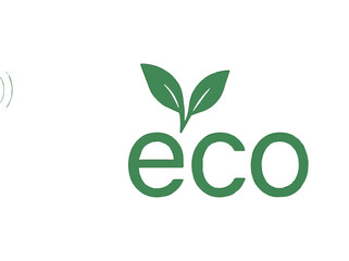 Eco friendly leaf logo for organic green products