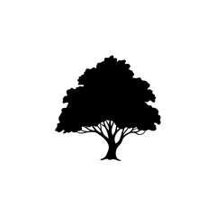 Silhouette of a large tree with dense foliage on a white background  