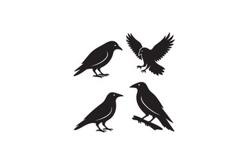 Obraz premium Crow and Raven Silhouette.
