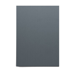 A plain gray surface with no distinct features or markings.