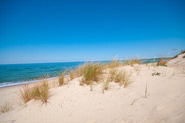 Sand dunes landscape in summer at the Baltic sea