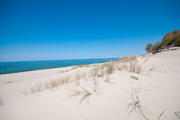 Sand dunes landscape in summer at the Baltic sea
