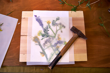 Wildflowers arranged under parchment paper, ready for botanical hammer art. Floral imprint...