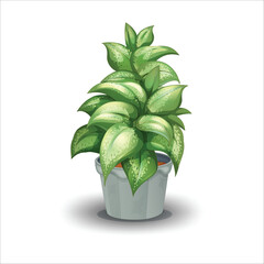 Green houseplant in gray pot isolated on white