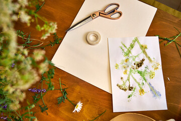 Botanical art tutorial with wildflowers – DIY process of making natural floral prints using...