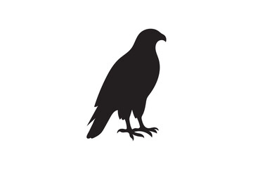 Obraz premium falcon silhouette