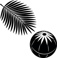 Floating Ball And Palm Leaf Shadow Vector Silhouette On White Background
