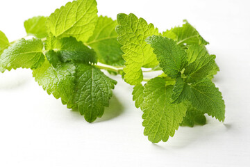Fresh lemon balm leaves on white table, closeup