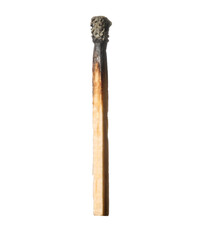 One burnt match isolated on white. Tool for starting fire