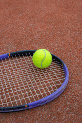 Tennis Ball Resting on Racket Close-Up