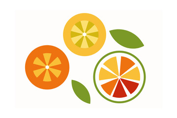 citrus fruits vector illustration