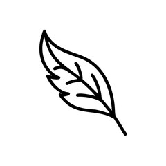 Single Black Line Art Leaf Illustration Eco Friendly Nature Botanical Simple Design Element