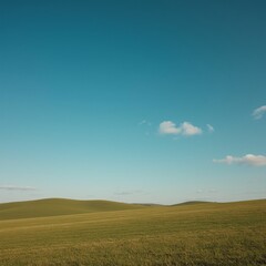 green field and blue sky
