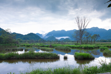 lake and mountains，Shennongjia，Wetland, Park, Swamp