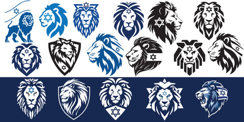 Lion with symbhol of David's star, Israeli patriotic national emblem