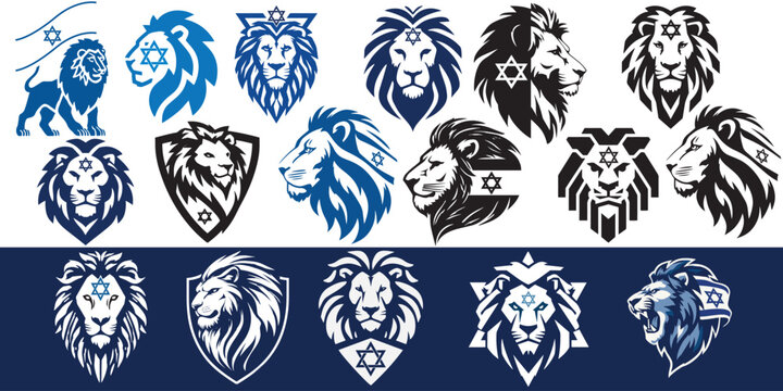 Lion with symbhol of David's star, Israeli patriotic national emblem
