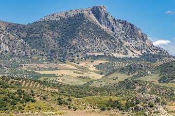 Fototapeta premium Zahara de la Sierra, Cadiz, Spain. Mountain above olive groves.