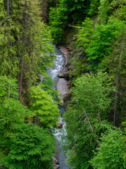 Fototapeta premium Rabiusa Canyon, part of Natural monument Ruinaulta canyon, created by the Flims rockslide and an attraction of Graubunden, Switzerland.