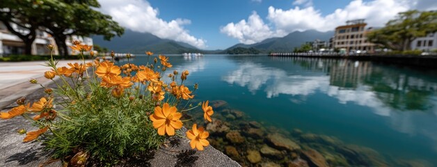 Obraz premium Beautiful orange cosmos bloom by the peaceful shore, reflecting serene mountains and houses on the tranquil lake surface