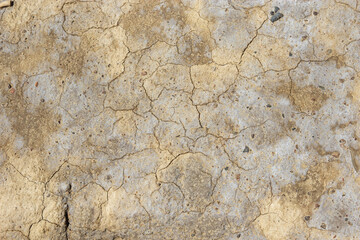 The parched earth