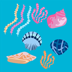 Set of sea shells and jellyfish. 