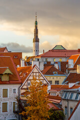 Eastern Europe, Baltic States, Estonia, Tallinn. Old town, along the city walls. Rooftops. Skyline.