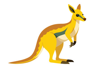 kangaroo vector illustration