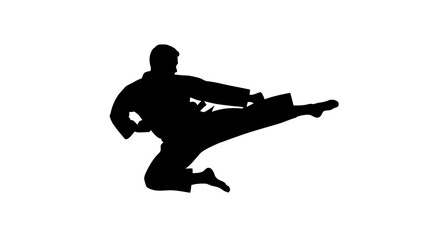 Silhouette of Martial Artist Performing High Kick in Action