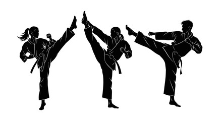 Silhouettes of Karate Practitioners in Dynamic Kicks