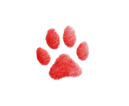 Red Fluffy Paw Print on Black Background Pet Animal Design Graphic Furry Texture Cute Soft Paw Dog Cat Footprint Illustration Digital Art Image Design Element for Print Web icon logo high   