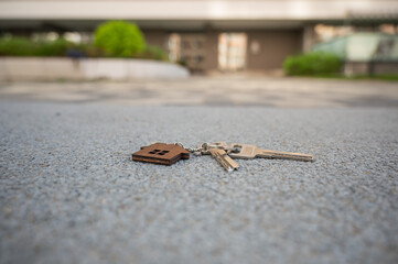 Keys with House Keychain Left on Paved Path. 
