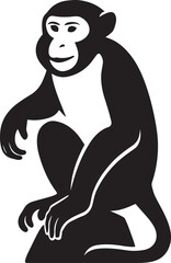 Monkey sitting silhouette simple pose, Primate resting black and white artwork