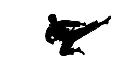 Black Silhouette of Karate Practitioner Executing a Flying Side Kick with Precision