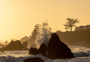 USA, California, Crescent City. Seastack along coastline at sunset © Danita Delimont