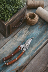Stylish vintage pruning shear with wooden handles