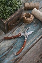 Stylish vintage pruning shear with wooden handles