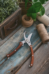 Stylish vintage pruning shear with wooden handles