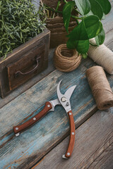 Stylish vintage pruning shear with wooden handles