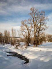USA, Colorado, Routt County. Steamboat Springs, Elk River at sunset in winter