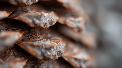 A macro shot of a pinecone displaying intricate textures and patterns, highlighting the beauty and complexity found in nature's design and natural elements.