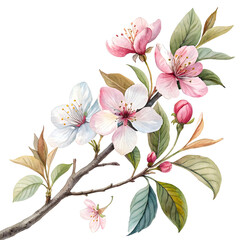 Image is a watercolor illustration featuring a branch adorned with vibrant flowers and leaves. The flowers are predominantly pink with delicate petals, some of which have subtle gradients of white and
