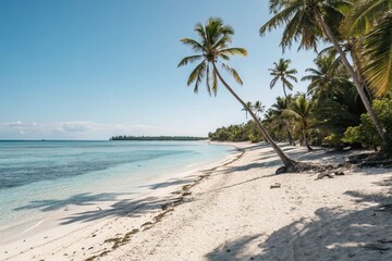 Obraz premium Blue Sea and Palm Shadow Art