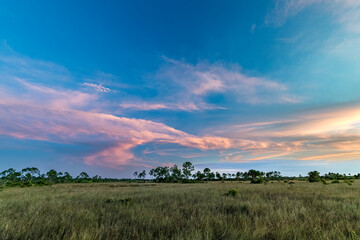 Sun setting over the Big Cypress National Preserve turns the clouds pink above the prairie...