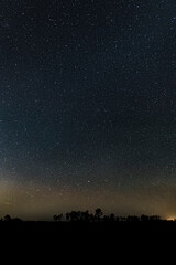 The beautiful night sky, full of stars, in Big Cypress National Preserve.